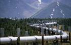New gas pipeline from Iraqi Kurdistan to Turkey could be operational in 2017.